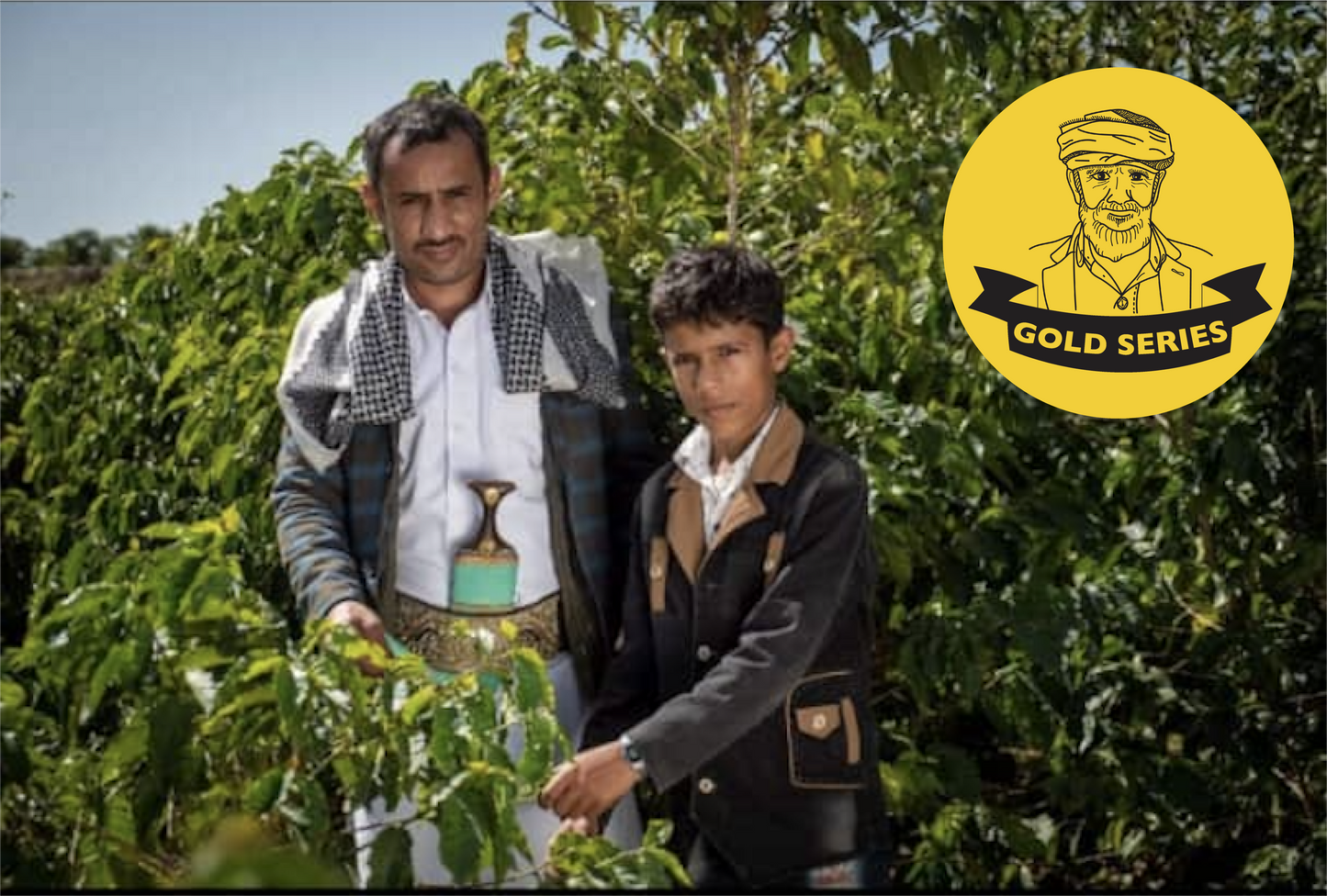 モハメッド・アワド・シャーム 2024 (Gold Series)生豆