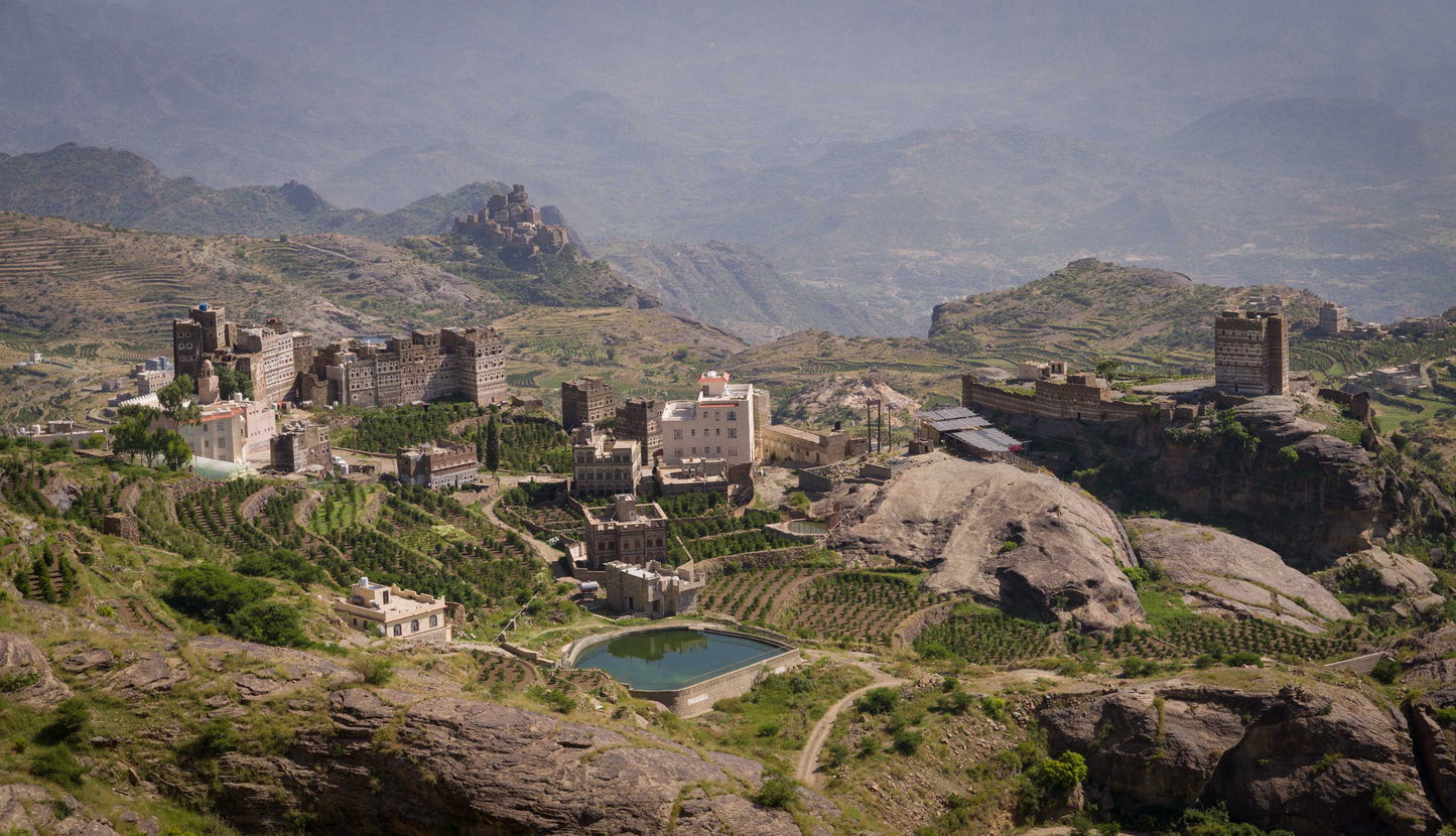 ワディー ハラズ 2023 (Silver Series) 生豆