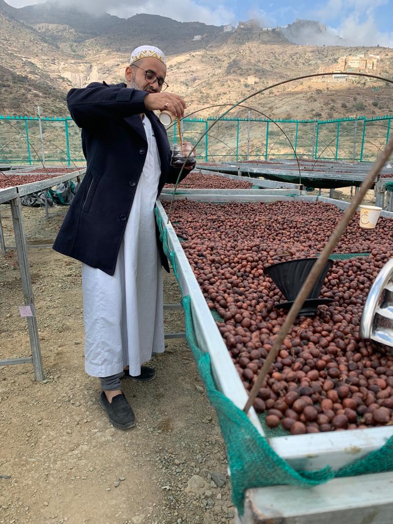 Ghalib 2024 (Gold Series, Gold Medal Winner) 生豆