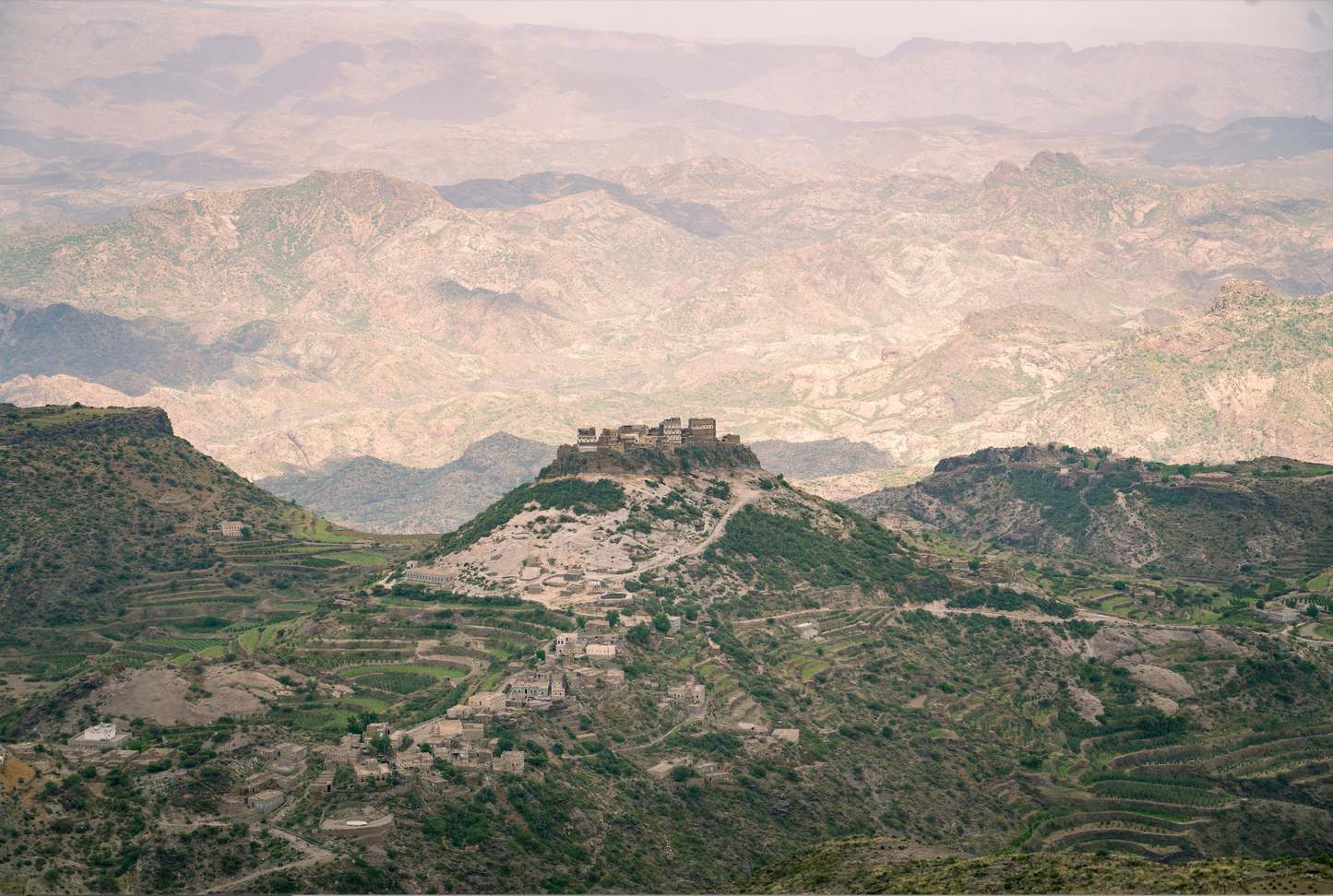 ワディー ハラズ 2023 (Silver Series) 生豆