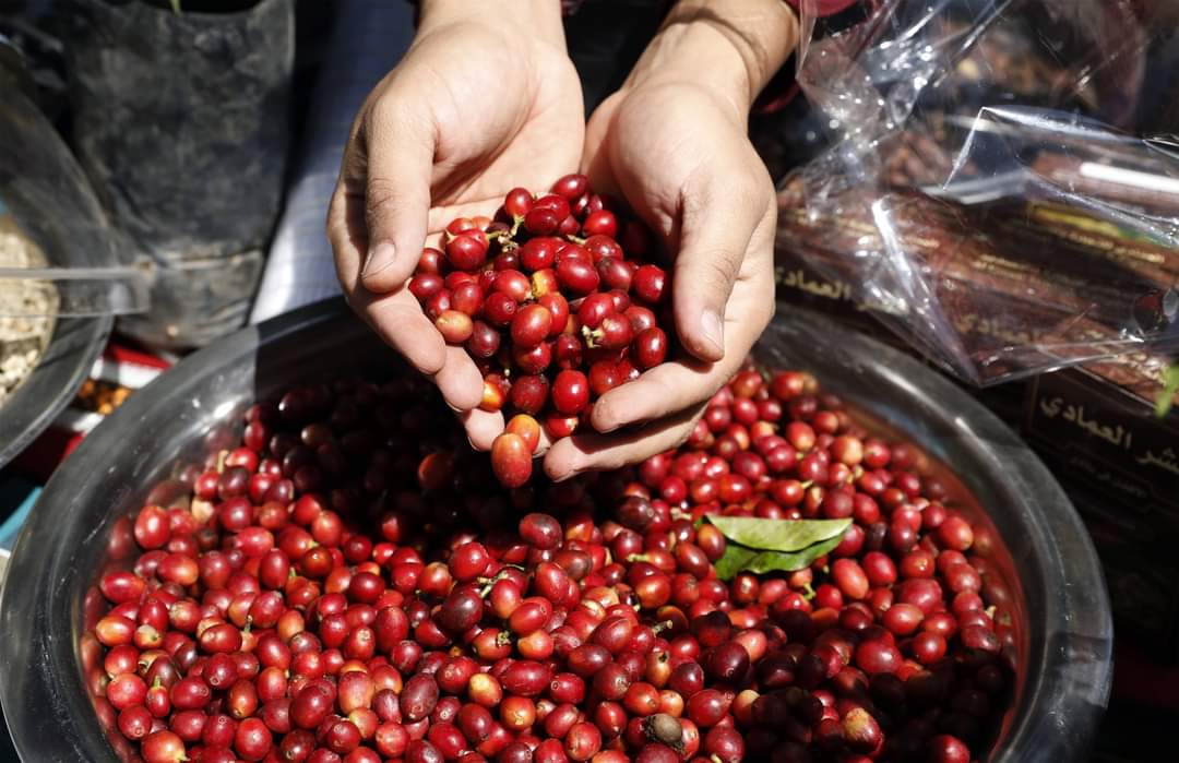 NEW Ahmed Abdo Ahmed 2024 (Gold Series) 生豆