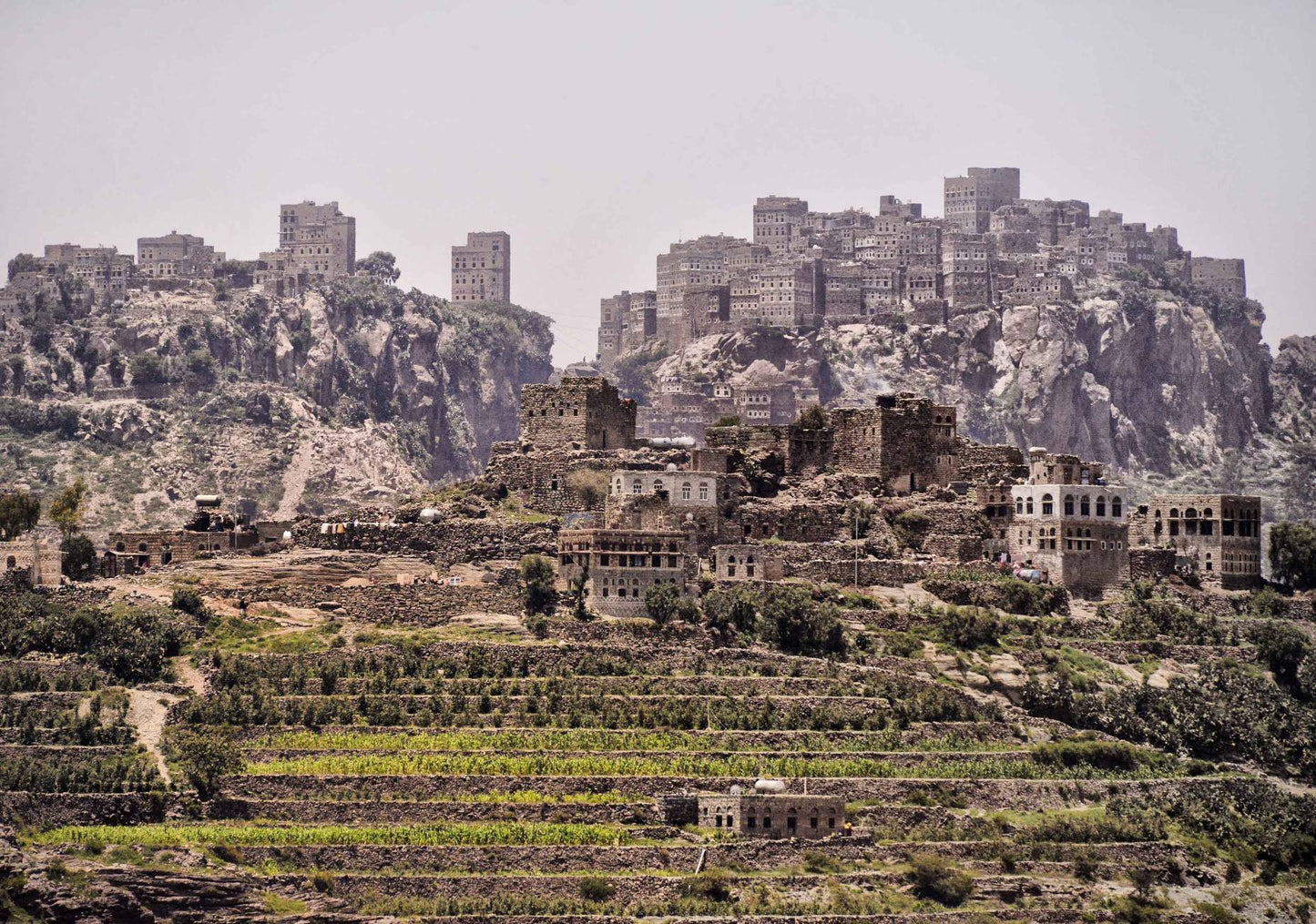 
                  
                    Wadi Haraz (Silver Series) 生豆
                  
                