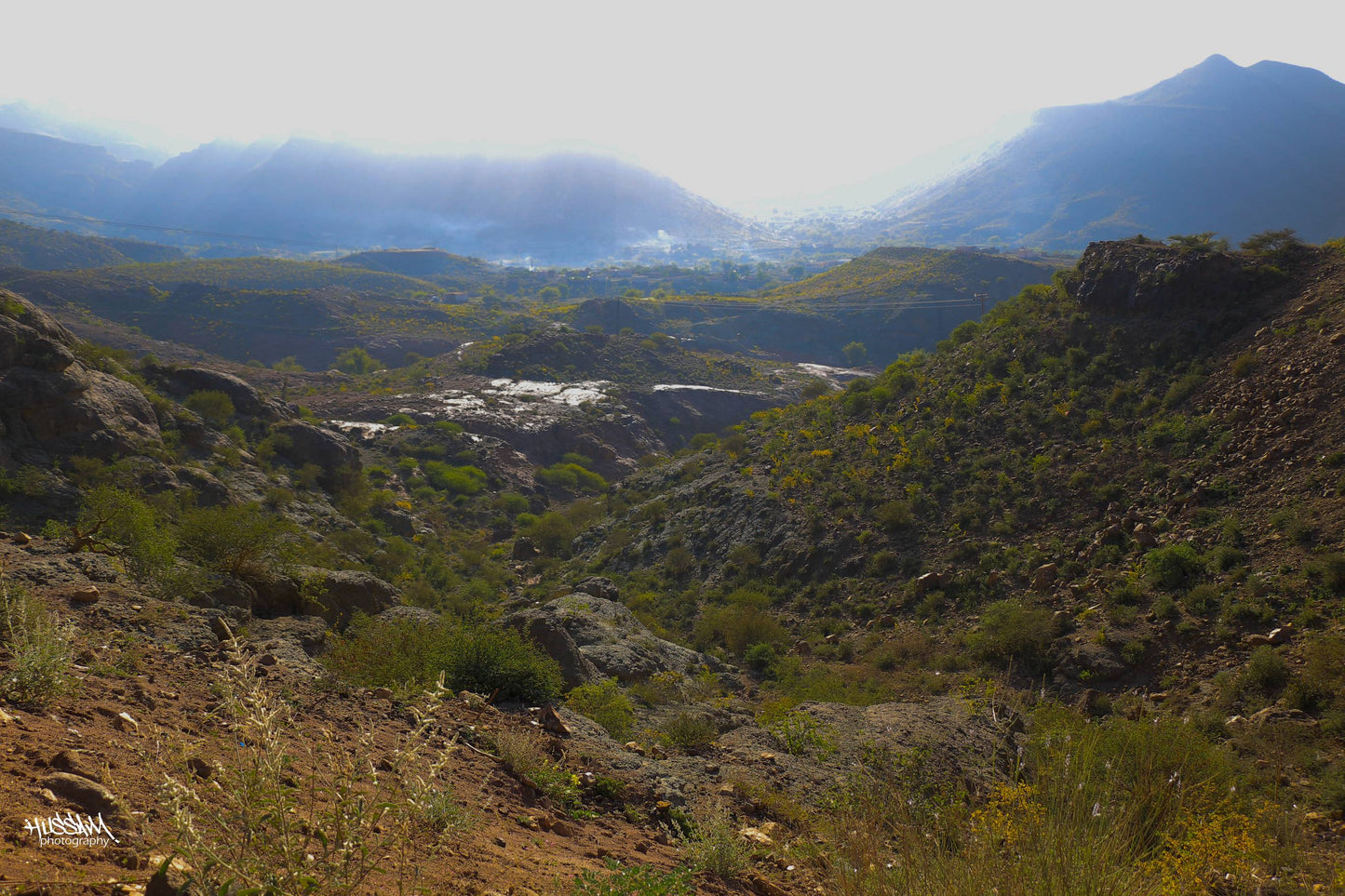
                  
                    Wadi Haraz (Silver Series) 生豆
                  
                