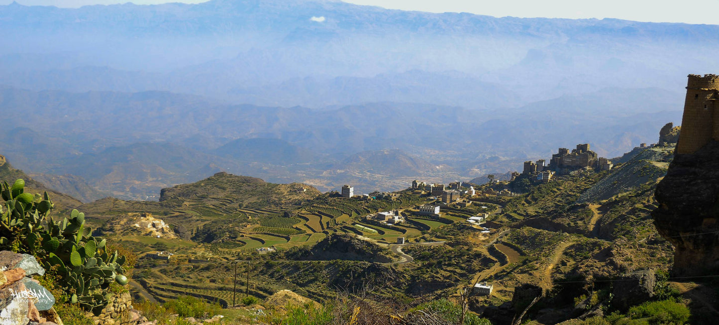 
                  
                    Wadi Haraz (Silver Series) 生豆
                  
                